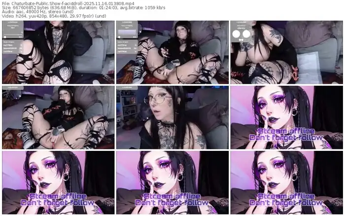 2025/11/16/chaturbate-aciddroll-01-38-08