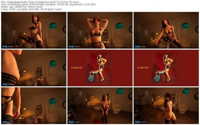 2025/11/16/chaturbate-artejones-02-17-21