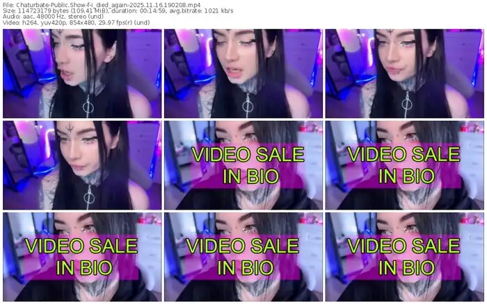 2025/11/16/chaturbate-i_died_again-19-02-08
