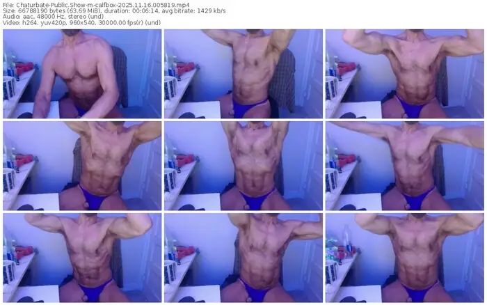 2025/11/16/chaturbate-calfbox-00-58-19