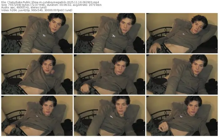 2025/11/16/chaturbate-cuteboymegadick-06-29-03