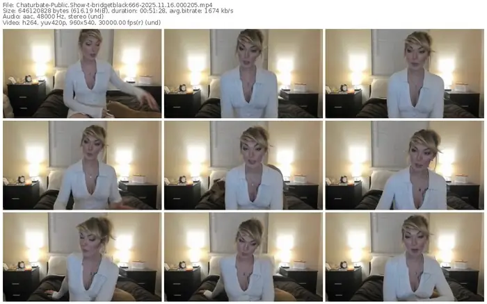 2025/11/16/chaturbate-bridgetblack666-00-02-05