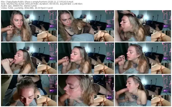 2025/11/17/chaturbate-emptyhunters-05-14-10