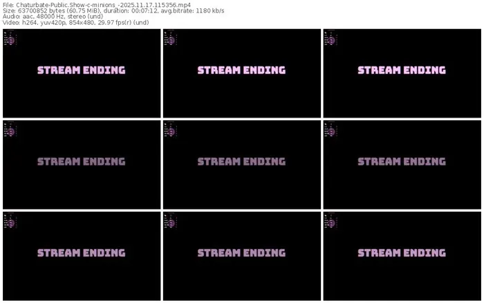 2025/11/17/chaturbate-minions_-11-53-56