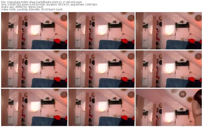 2025/11/17/chaturbate-artofboobs-06-14-52