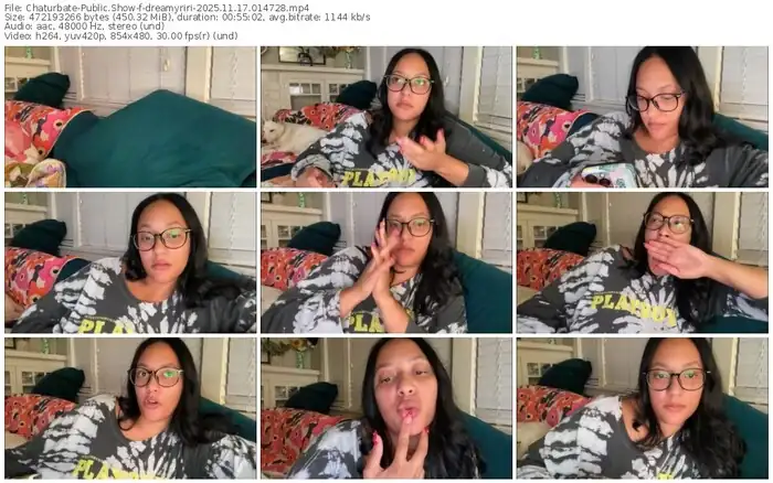2025/11/17/chaturbate-dreamyriri-01-47-28
