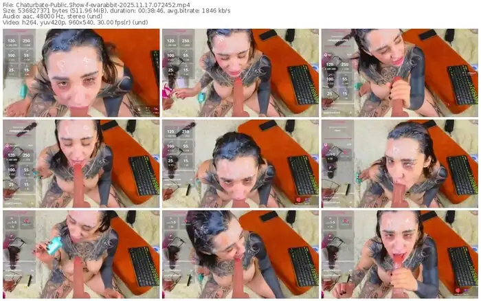 2025/11/17/chaturbate-evarabbit-07-24-52