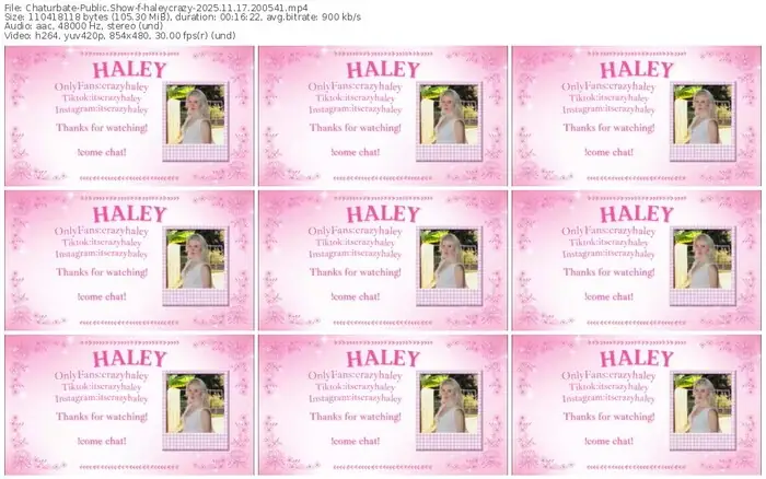 2025/11/17/chaturbate-haleycrazy-20-05-41