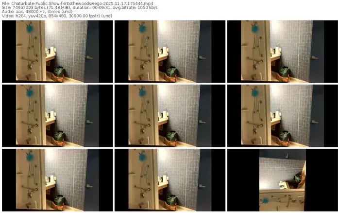 2025/11/17/chaturbate-intothewoodswego-17-54-44