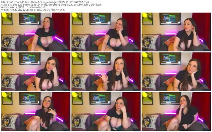 2025/11/17/chaturbate-task_manager-16-12-07