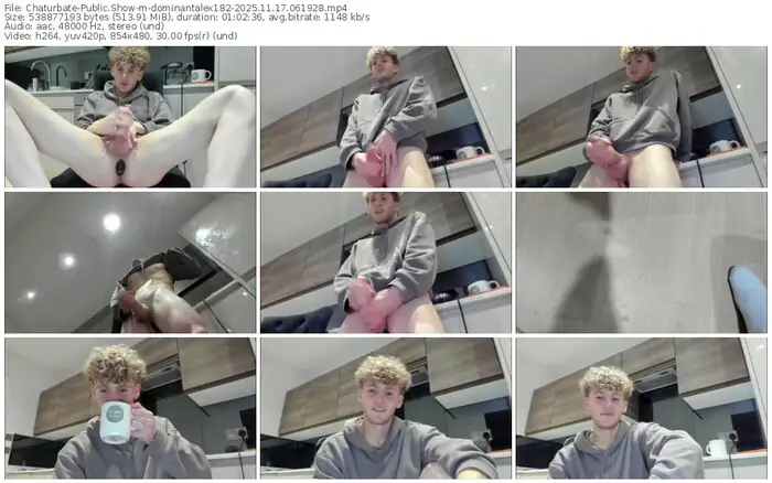 2025/11/17/chaturbate-dominantalex182-06-19-28
