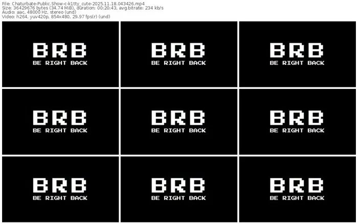 2025/11/18/chaturbate-k1tty_cute-04-34-26