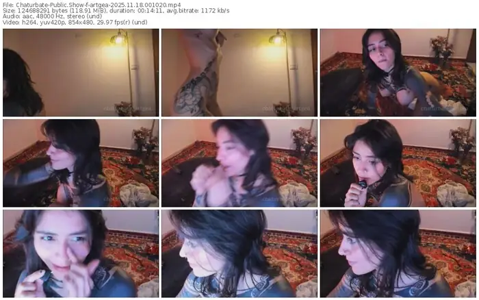 2025/11/18/chaturbate-artgea-00-10-20