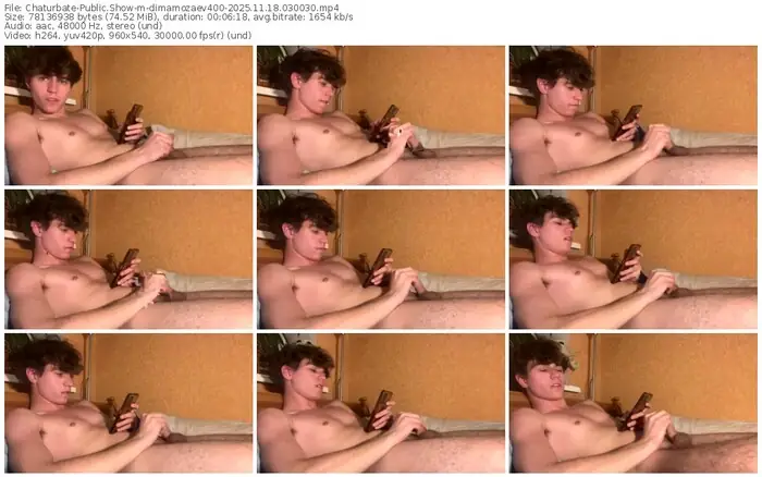 2025/11/18/chaturbate-dimamozaev400-03-00-30