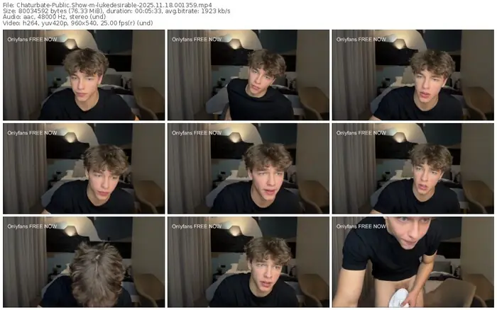 2025/11/18/chaturbate-lukedesirable-00-13-59
