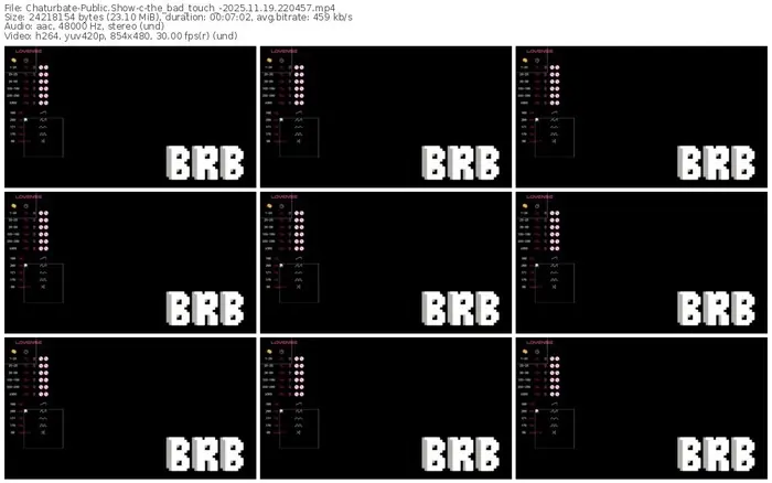 2025/11/19/chaturbate-the_bad_touch_-22-04-57