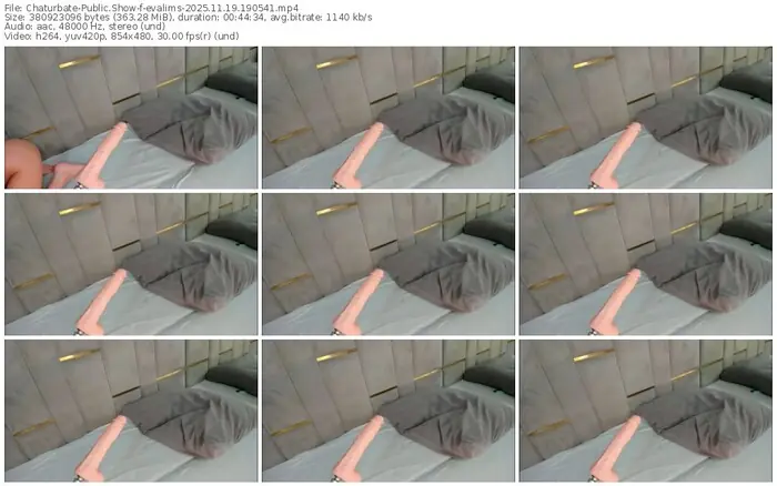 2025/11/19/chaturbate-evalims-19-05-41