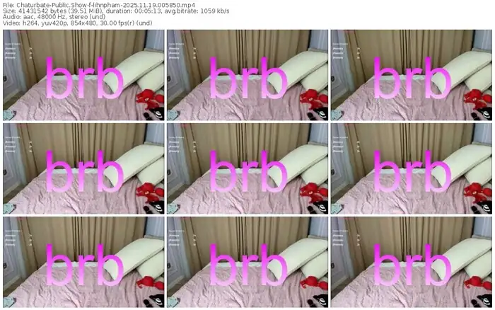 2025/11/19/chaturbate-lihnpham-00-58-50