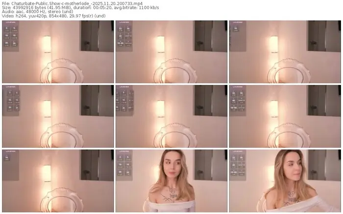 2025/11/20/chaturbate-motherlode_-20-07-33