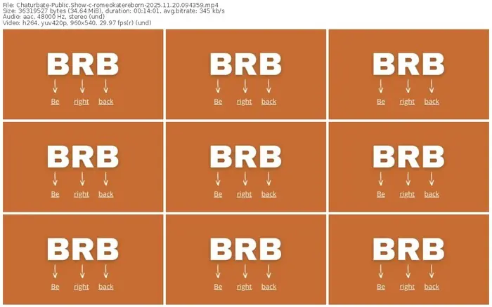 2025/11/20/chaturbate-romeokatereborn-09-43-59