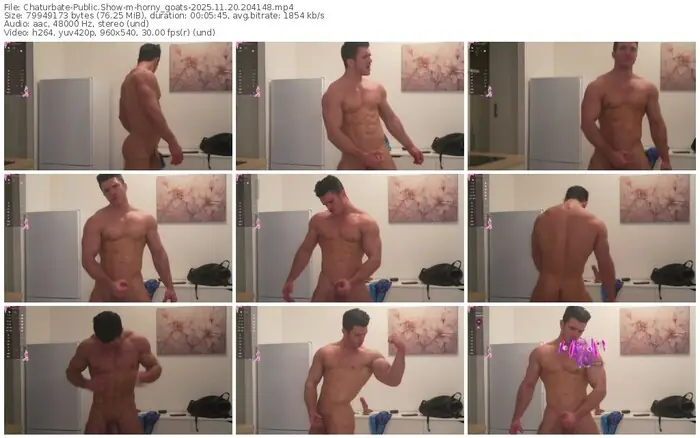 2025/11/20/chaturbate-horny_goats-20-41-48