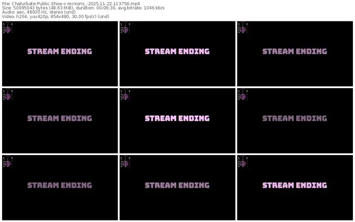 2025/11/22/chaturbate-minions_-11-37-56