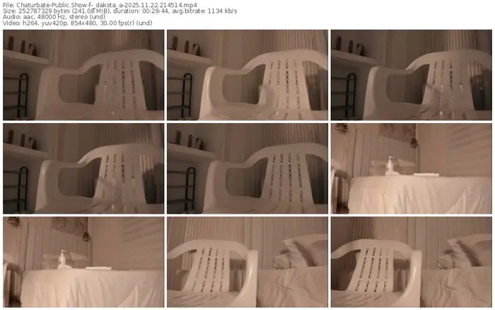 2025/11/22/chaturbate-_dakota_a-21-45-14