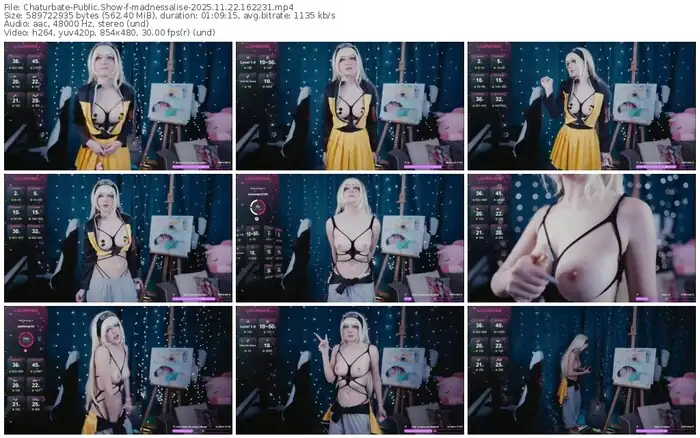 2025/11/22/chaturbate-madnessalise-16-22-31