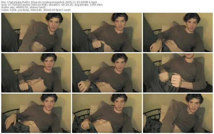 2025/11/22/chaturbate-cuteboymegadick-03-08-13
