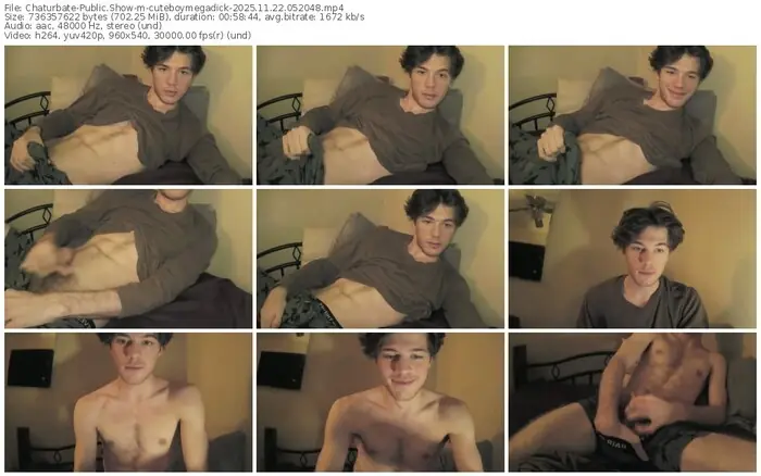 2025/11/22/chaturbate-cuteboymegadick-05-20-48