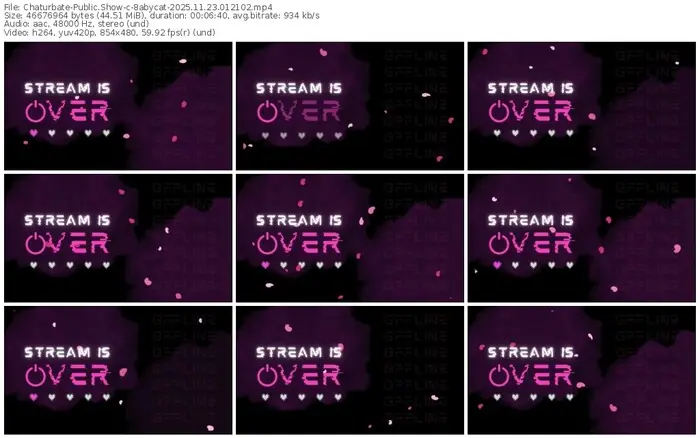 2025/11/23/chaturbate-8abycat-01-21-02