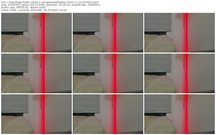 2025/11/23/chaturbate-savagesweethearts-03-40-02