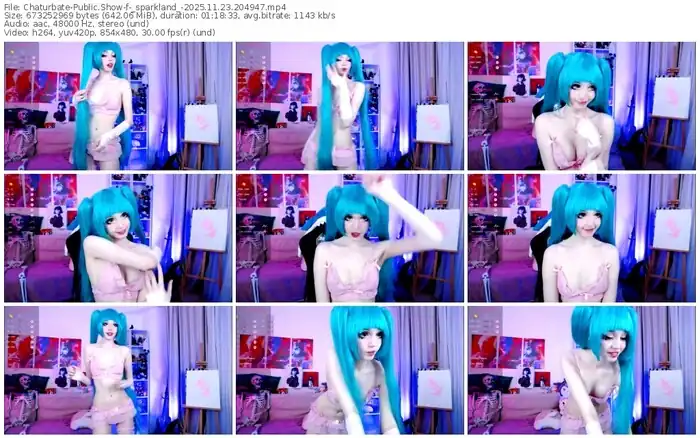 2025/11/23/chaturbate-_sparkland_-20-49-47