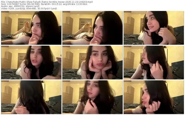 2025/11/23/chaturbate-plush_flame_twinkle_meow-14-42-03