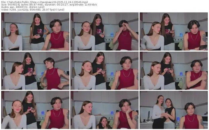 2025/11/24/chaturbate-ihavepaws33-12-05-46