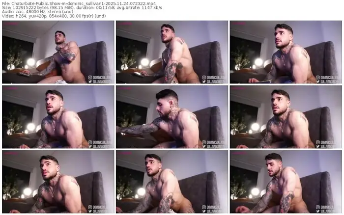 2025/11/24/chaturbate-dominic_sullivan1-07-23-22