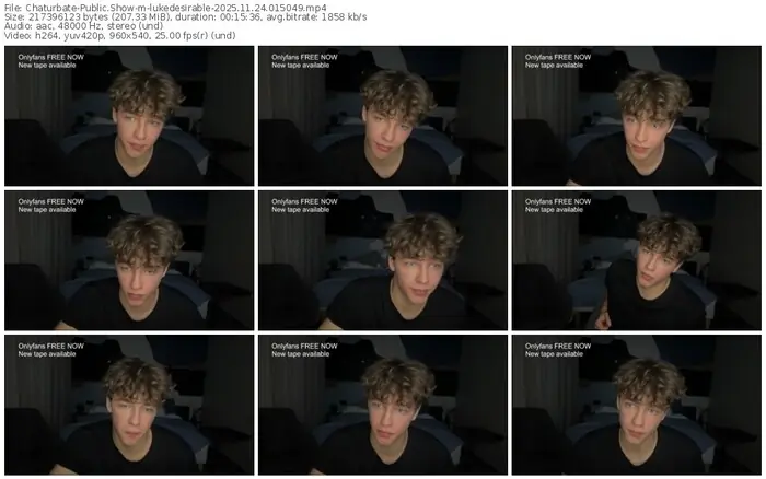 2025/11/24/chaturbate-lukedesirable-01-50-49