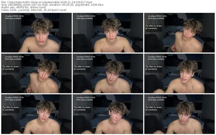 2025/11/24/chaturbate-lukedesirable-02-16-17