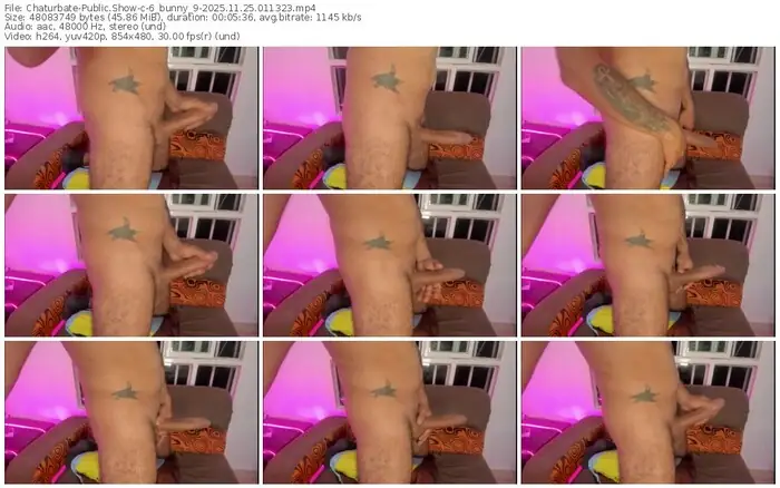 2025/11/25/chaturbate-6_bunny_9-01-13-23