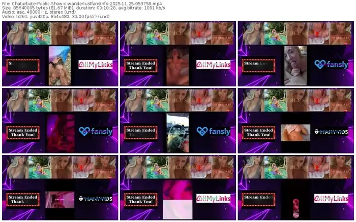 2025/11/25/chaturbate-wanderlustfansinfo-05-37-58