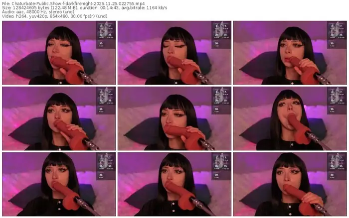 2025/11/25/chaturbate-darkfirenight-02-27-55