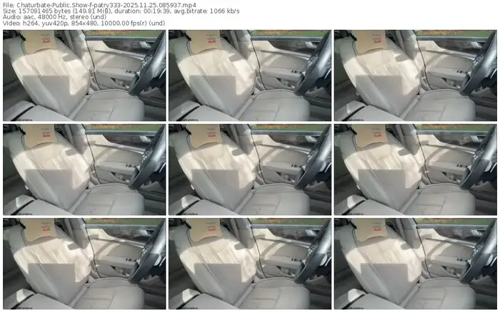 2025/11/25/chaturbate-patry333-08-59-37