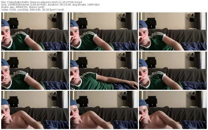 2025/11/25/chaturbate-alexwos-07-59-14