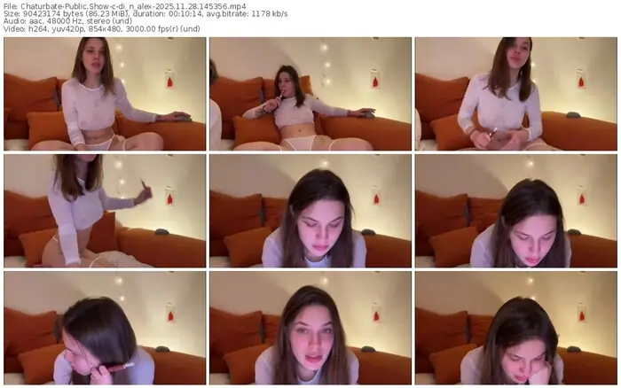 2025/11/28/chaturbate-di_n_alex-14-53-56