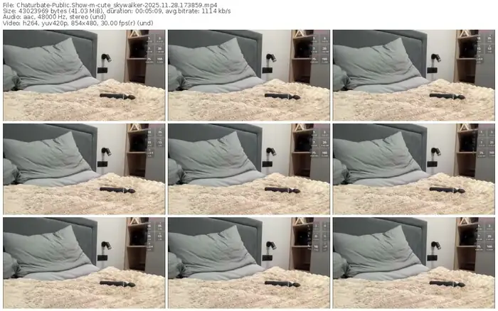 2025/11/28/chaturbate-cute_skywalker-17-38-59