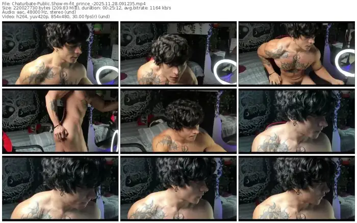 2025/11/28/chaturbate-fit_prince_-09-12-35