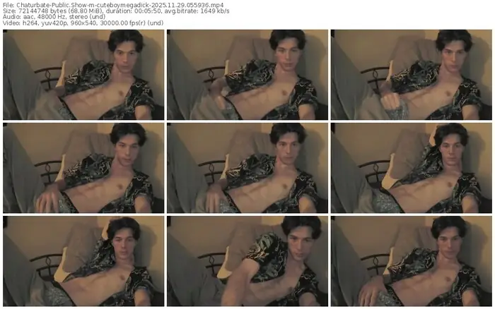 2025/11/29/chaturbate-cuteboymegadick-05-59-36