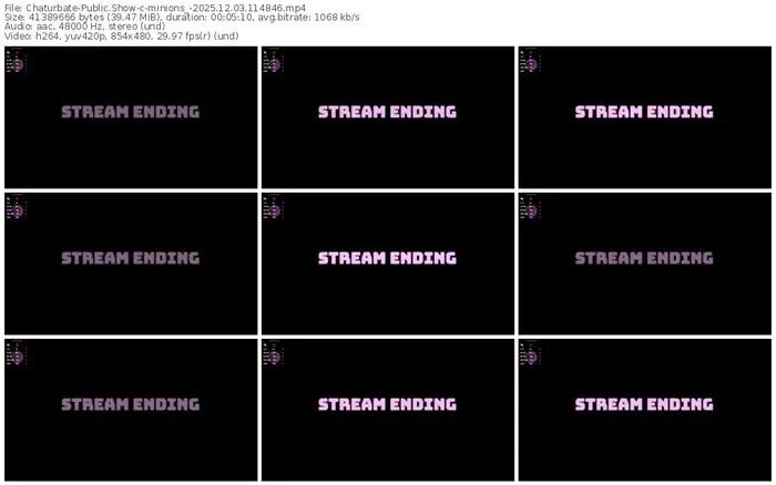 2025/12/03/chaturbate-minions_-11-48-46