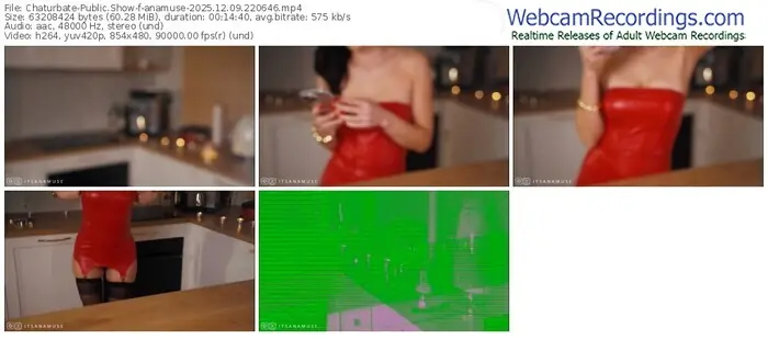 2025/12/09/chaturbate-anamuse-22-06-46