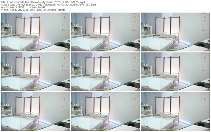 2025/12/09/chaturbate-lovlybambi-18-01-55